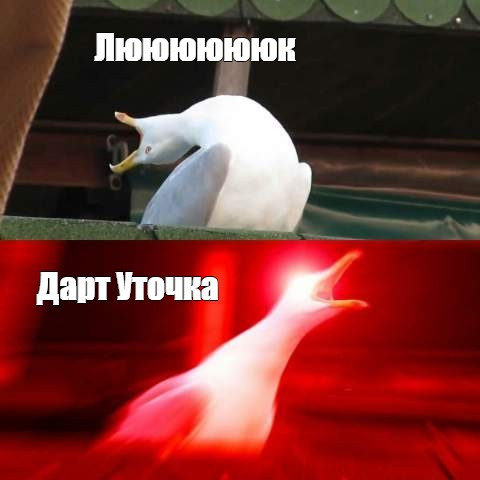 Мем, ржачный чел