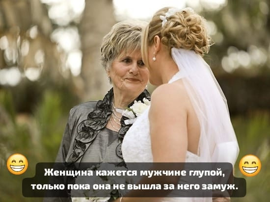 Мем: Чтоб не пил, не курил и цветы всегда дарил ...))), Laurus