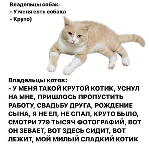 Мем, Микки Маус