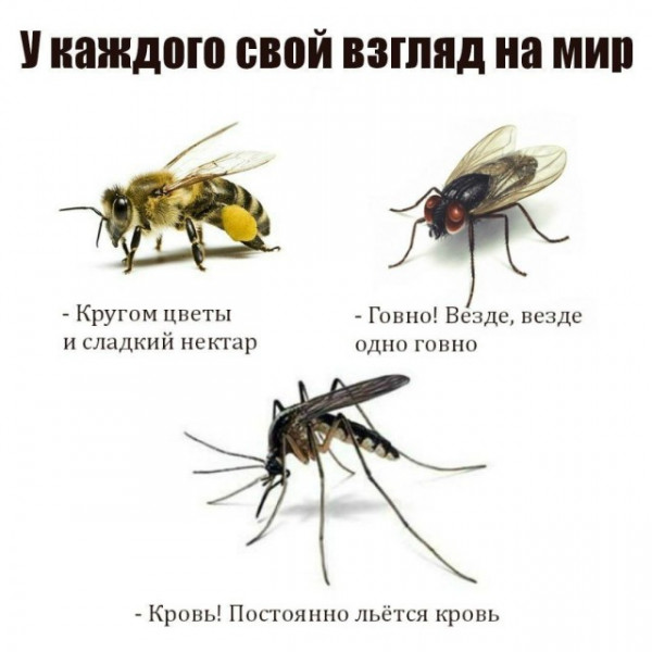 Мем