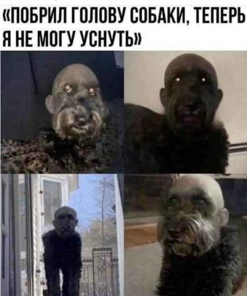 Мем