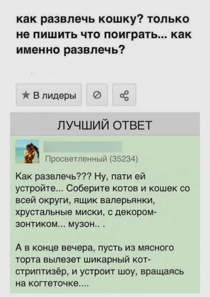 Мем: Как развлечь кошку ?, henh