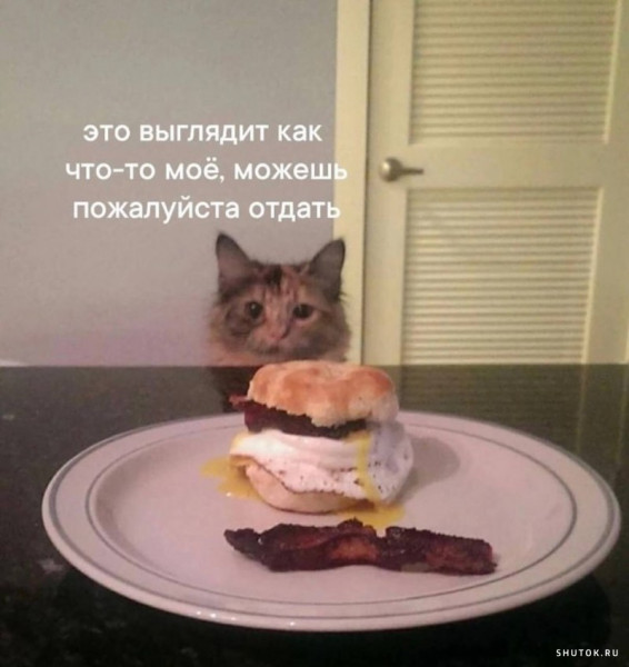 Мем, Микки Маус