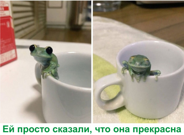 Мем, Тьмуша