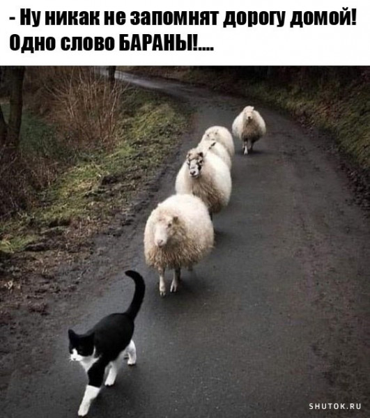 Мем, Джокер
