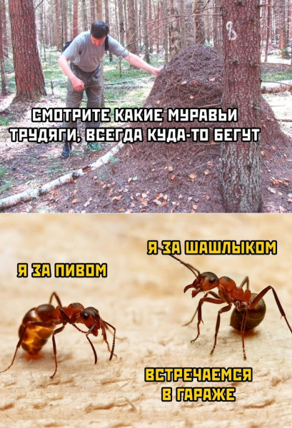 Мем, ржачный чел