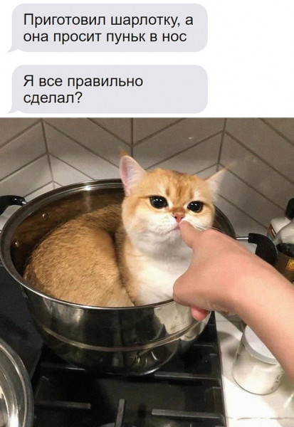 Мем, Микки Маус