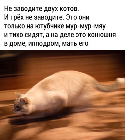 Мем, Микки Маус