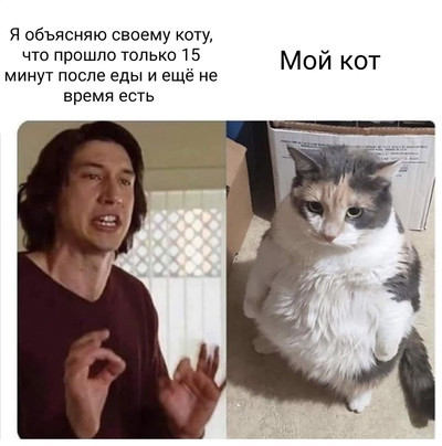 Мем, Микки Маус