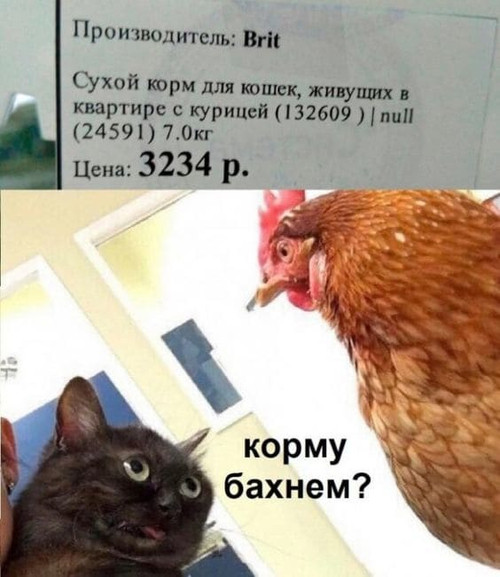 Мем, Микки Маус