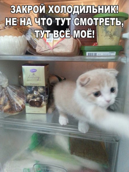 Мем, Микки Маус