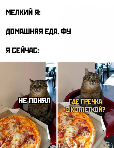 Мем, henh