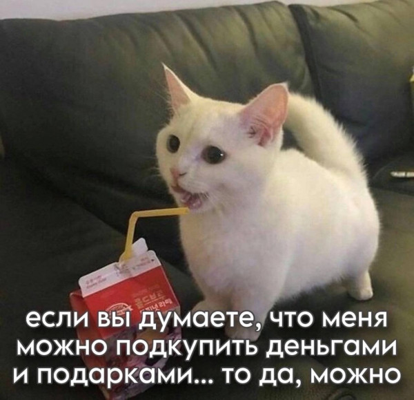 Мем