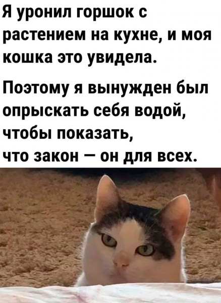 Мем