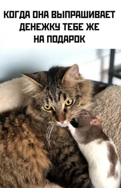 Мем