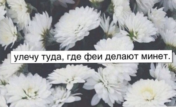 Мем, Vovei31