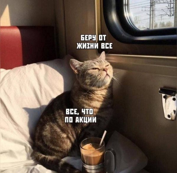 Мем, henh