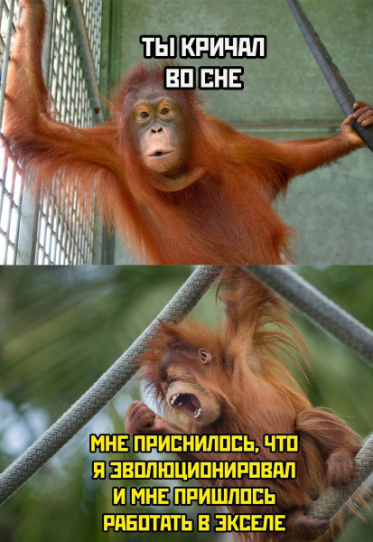 Мем, henh