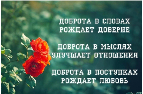Мем: Твори добро!, Алекс Гудков