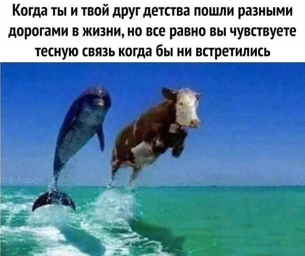 Мем