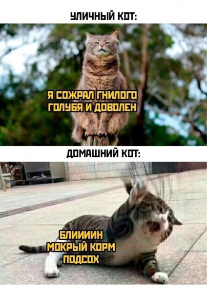 Мем