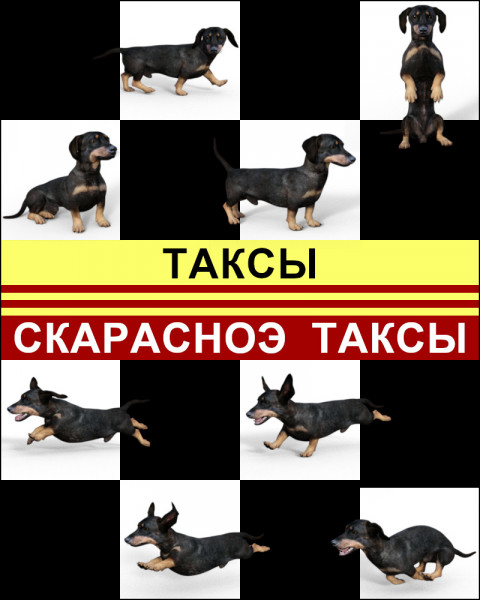 Мем: Таксы, Aesli