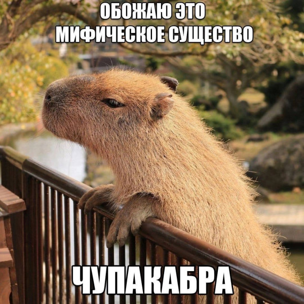 Мем