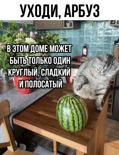 Мем