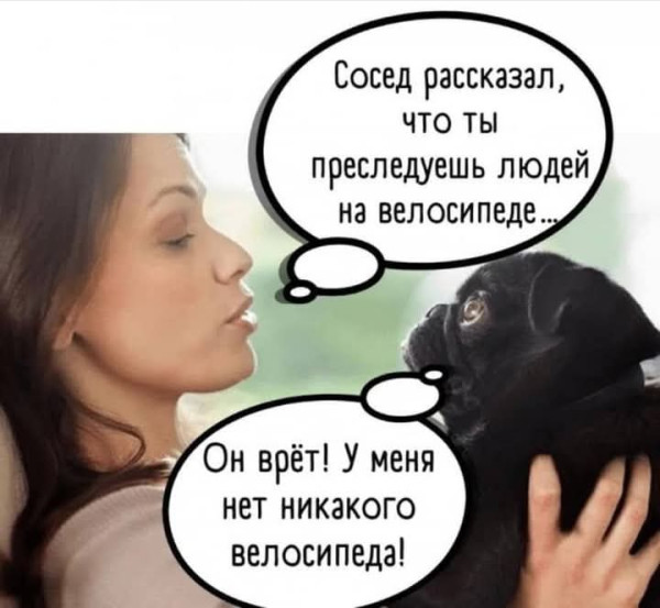 Мем, Анекдотчик