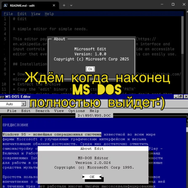 Мем: Ms dos перезапуск…, DVD