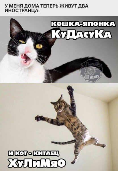 Мем, Смехалка