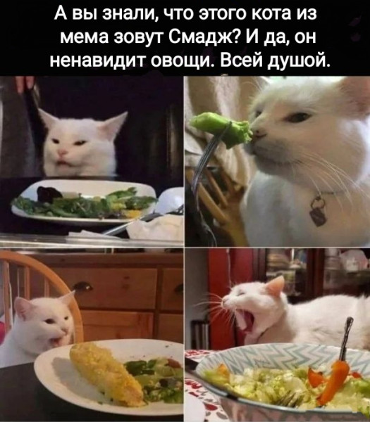 Мем, Рысь