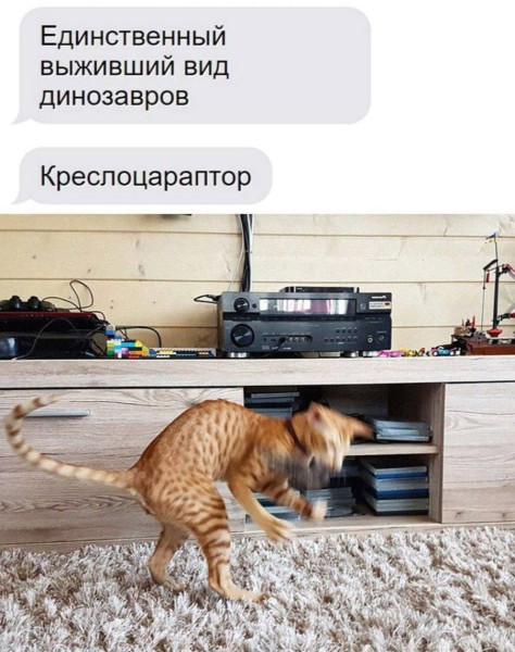 Мем, Смехалка