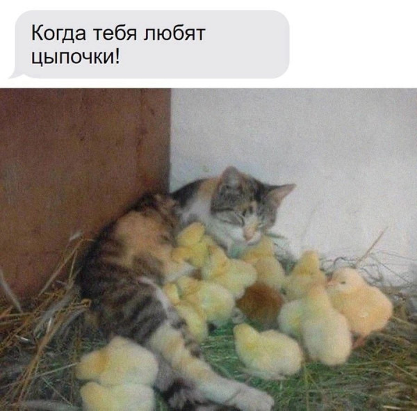 Мем, Смехалка