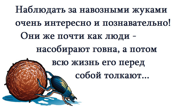 Мем, Александр САН