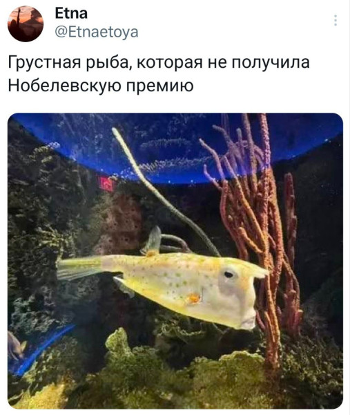 Мем, Ashmedai