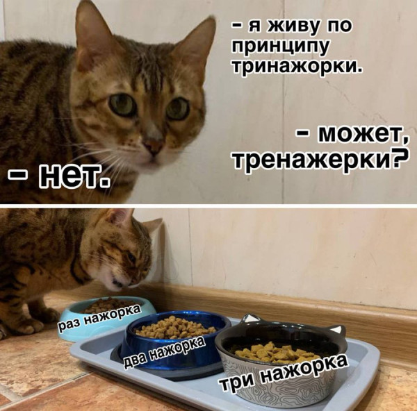 Мем, Hendry