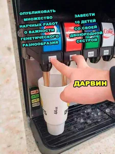 Мем, Смехалка