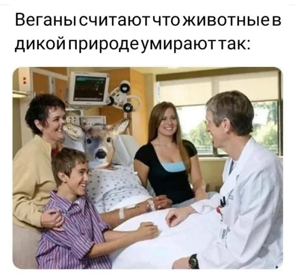 Мем, Смехалка