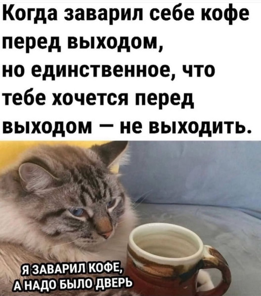 Мем: Понедельник, такой понедельник., henh