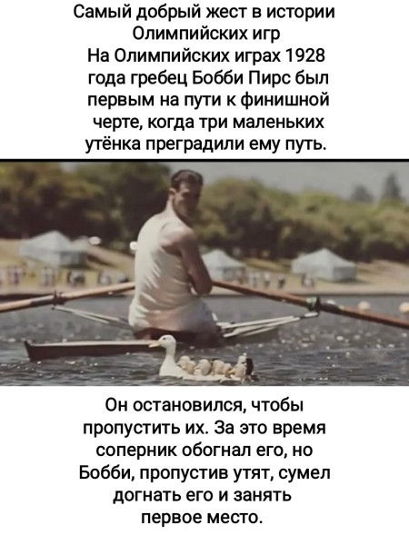 Мем, Рысь
