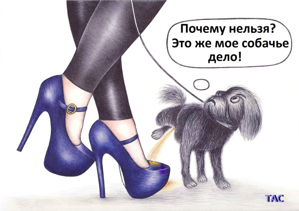 Мем, Александр Троицкий