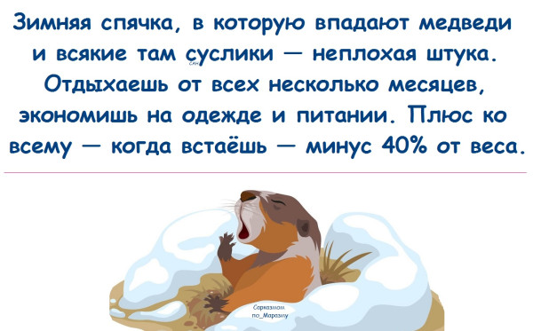 Мем, Александр САН