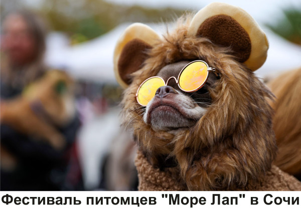 Мем, Тьмуша