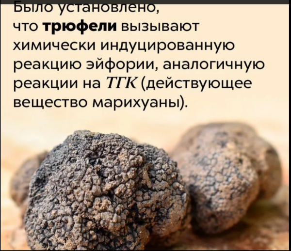 Мем, михельсон