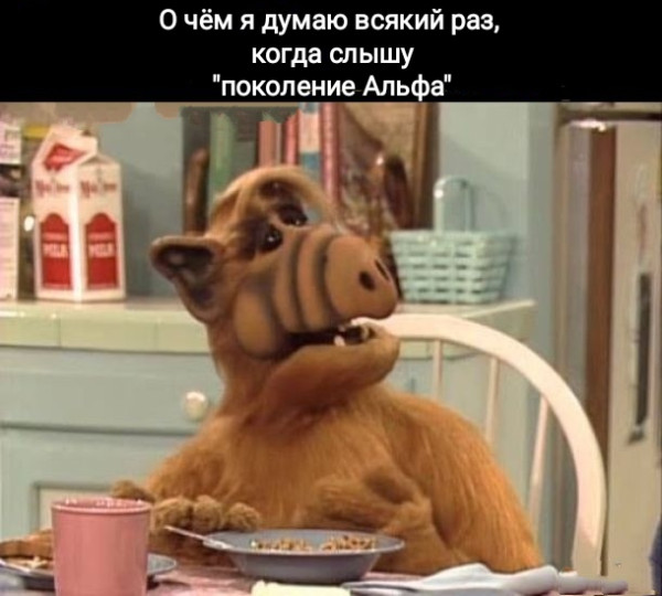 Мем, Рысь