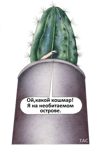 Мем: Червяк в горшке., Александр Троицкий