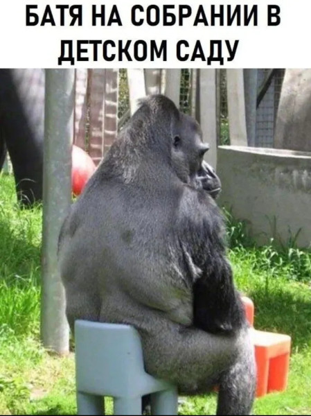 Мем, Анекдотчик