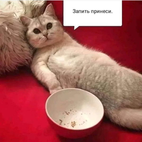 Мем, Анекдотчик