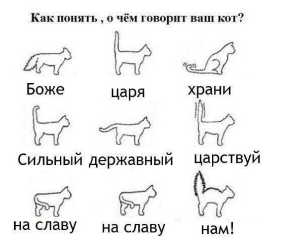 Мем, Кот Отморозкин